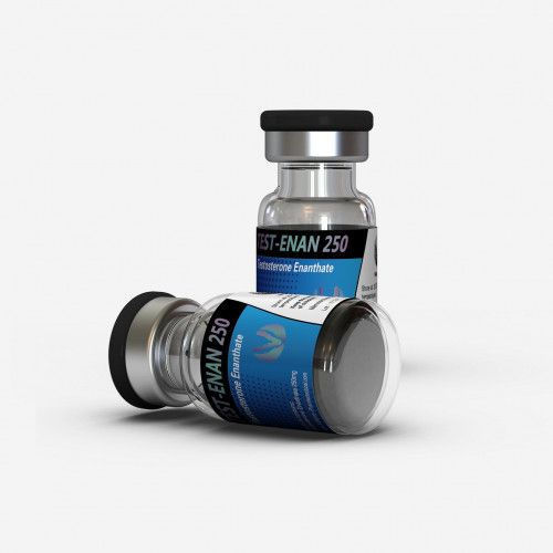 Test-Enan 250-500x500 Testostérone Enanthate Valkyrie 250mg/mL