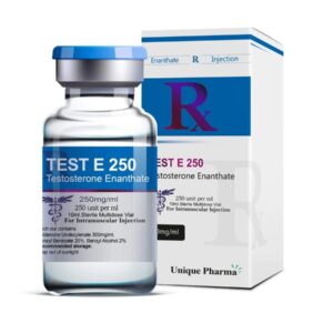 Testostérone Enanthate – Unique Pharma – 250mg/mL